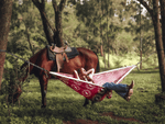 Ringers Western Recycled Hammock with Straps preview #2