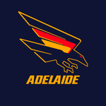 Adelaide Crows - AFL Sustainable Down Puffy Blanket