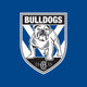 Bulldogs - NRL Sustainable Down Puffy Blanket colour swatch