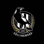 Collingwood Magpies - AFL Sustainable Down Puffy Blanket