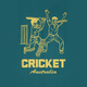 Cricket Australia Recycled Hammock with Straps colour swatch