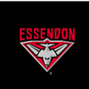Essendon Bombers - AFL Recycled Sand Free Beach Towel colour swatch