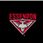 Essendon Bombers - AFL Sustainable Down Puffy Blanket