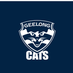 Geelong Cats - AFL Sustainable Down Puffy Blanket