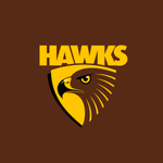 Hawthorn Hawks - AFL Sustainable Down Puffy Blanket