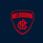 Melbourne Demons - AFL Sustainable Down Puffy Blanket