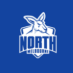 North Melbourne Kangaroos - AFL Sustainable Down Puffy Blanket