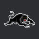 Panthers - NRL Sustainable Down Puffy Blanket colour swatch