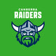 Raiders - NRL Sustainable Down Puffy Blanket colour swatch