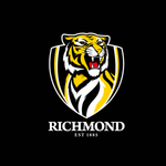 Richmond Tigers - AFL Sustainable Down Puffy Blanket