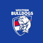 Western Bulldogs - AFL Sustainable Down Puffy Blanket